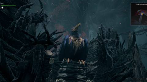 Remnant 2: How to Move the Big Blue Bird (Bird Nest Guide)