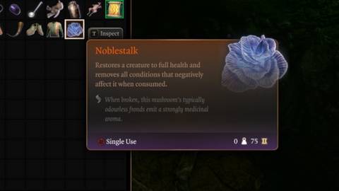 Baldur’s Gate 3: Where to Find Noblestalk and What To Do With It Guide