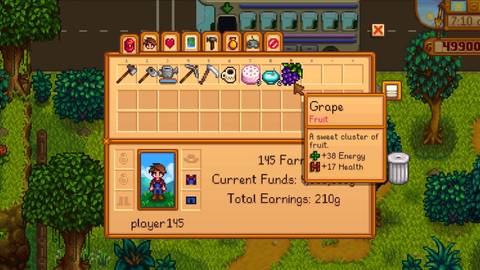 Stardew Valley: Where to Find Grapes