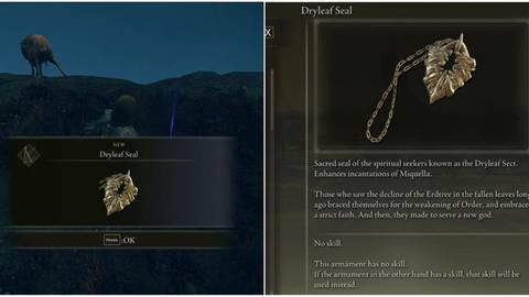 How To Get Dryleaf Seal in Elden Ring: Shadow of the Erdtree