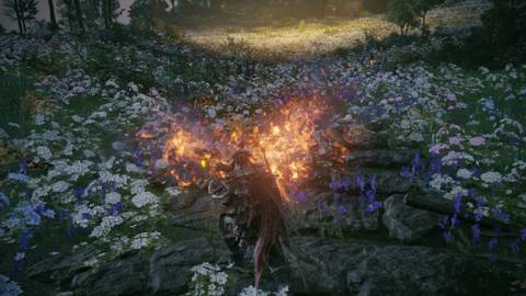 Elden Ring: Shadow of the Erdtree - How To Get Firespark Perfume 
