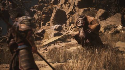 Black Myth Wukong: Drunken Pig Quest Walkthrough (How to Reach 