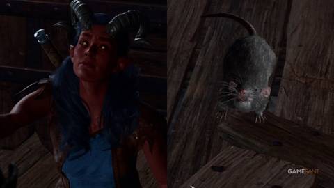 Diablo 4 Players Are Following Rats To Find Good Loot