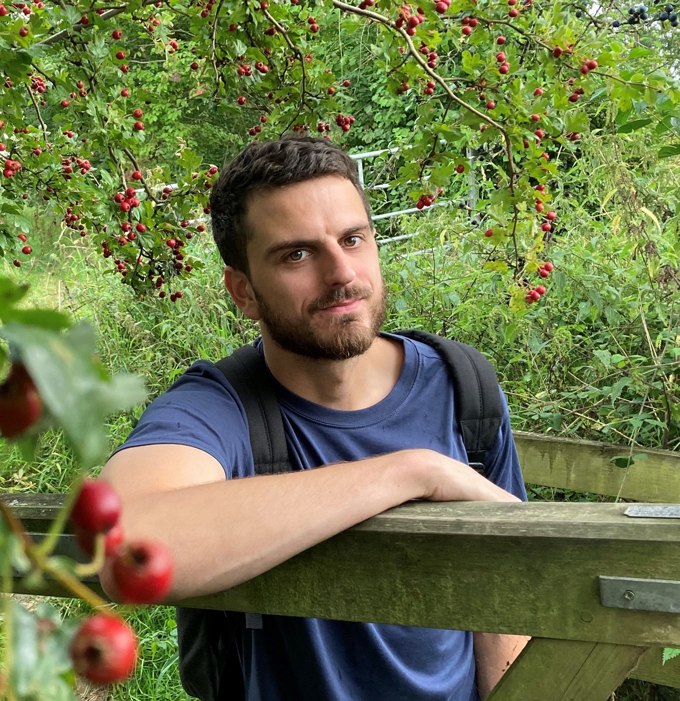 Henry Collard Game Rant