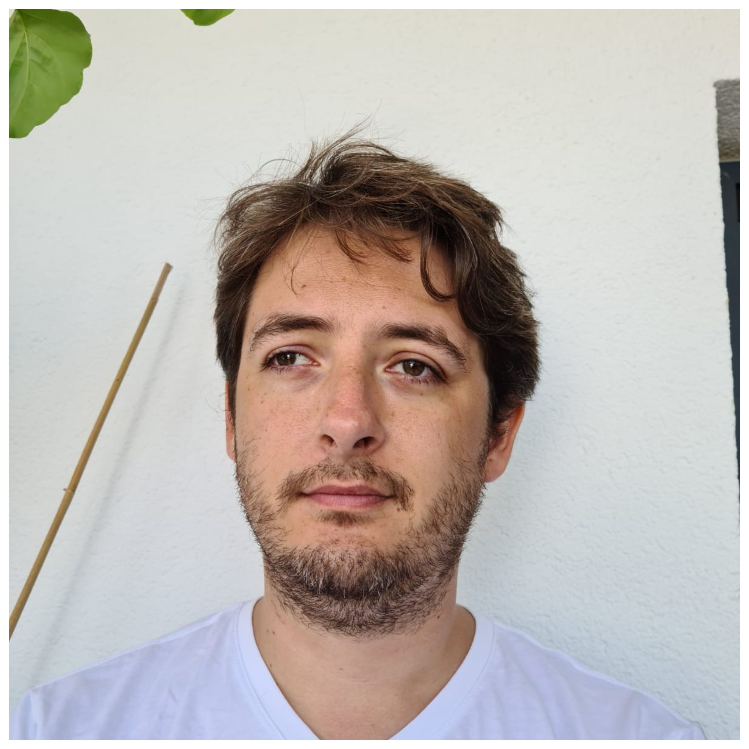 User Display Picture