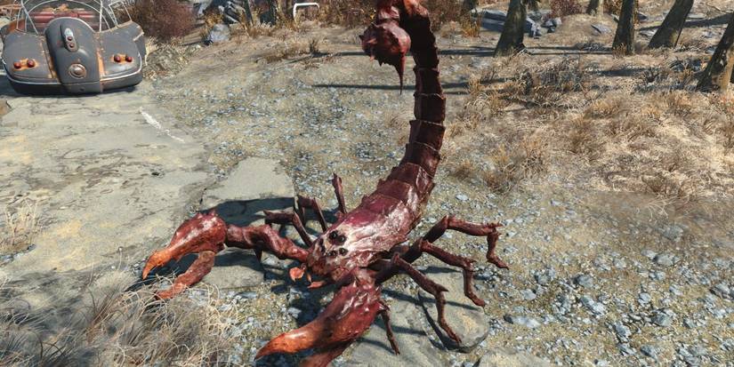Fallout 4 Deathskull Radscorpion