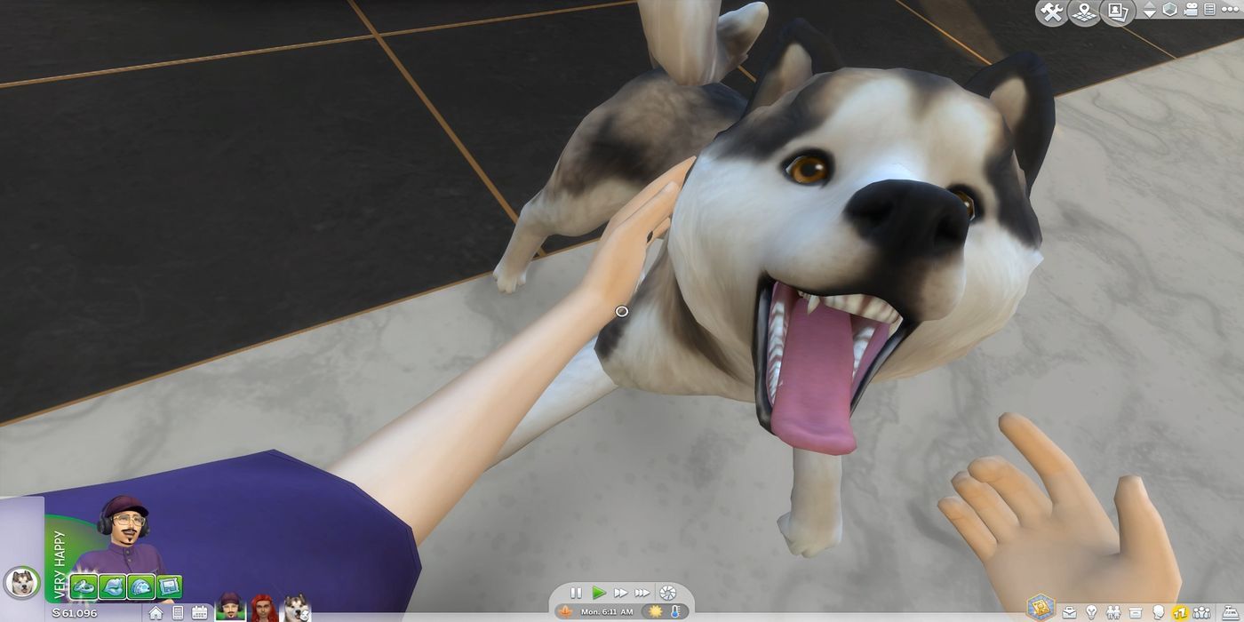 The Sims 4 Sims Petting Dog From First Person View
