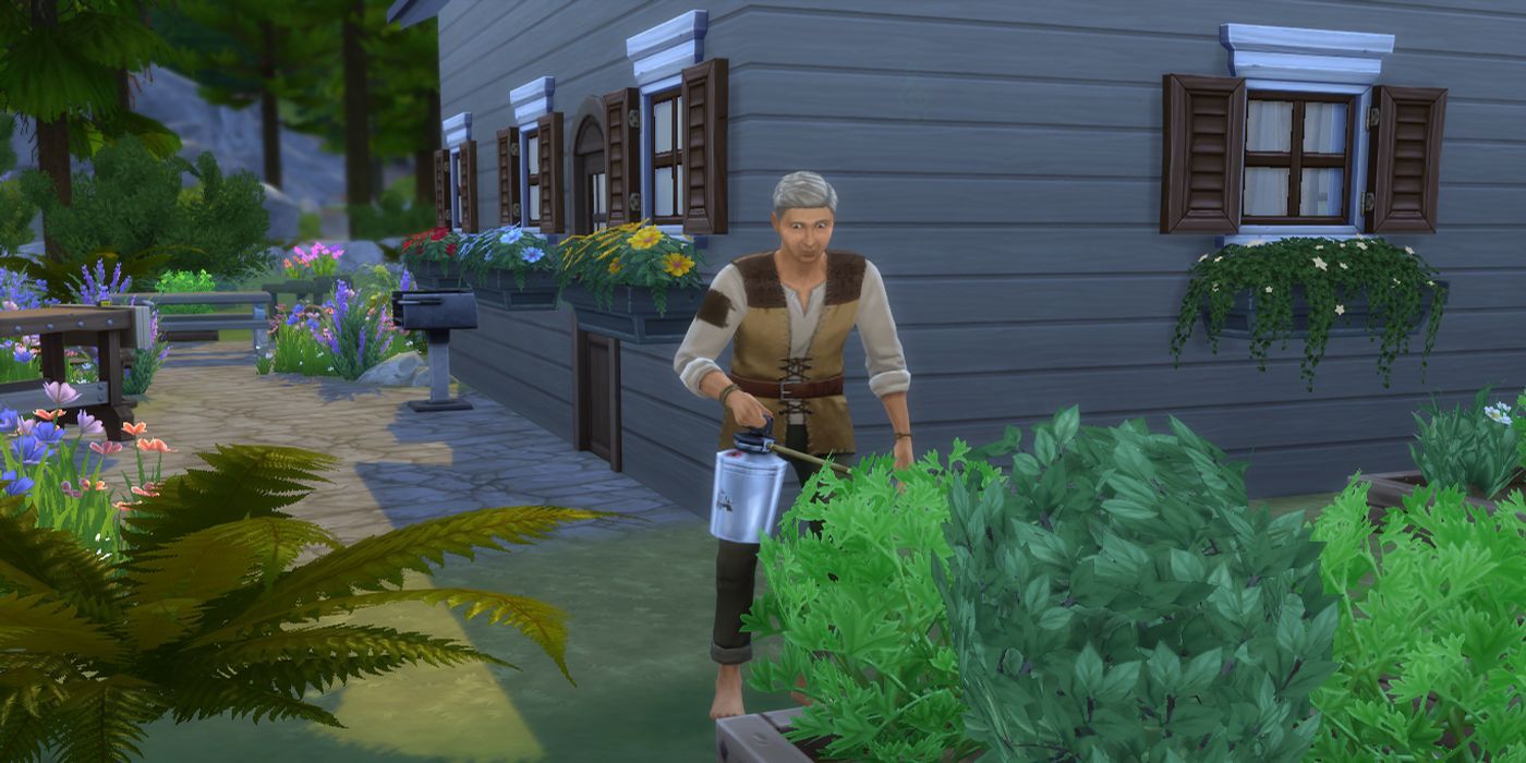 The Sims 4 The Hermit From Outdoor Retreat