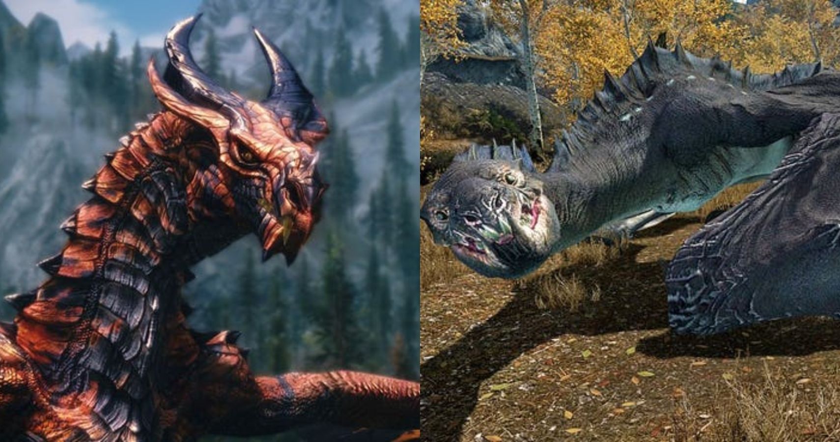 Tranquility Kostbar Tante Skyrim: Every Dragon From Weakest To Most Powerful, Ranked