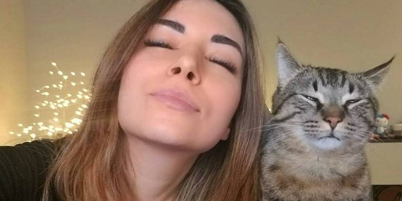 Twitch streamer Alinity and cat