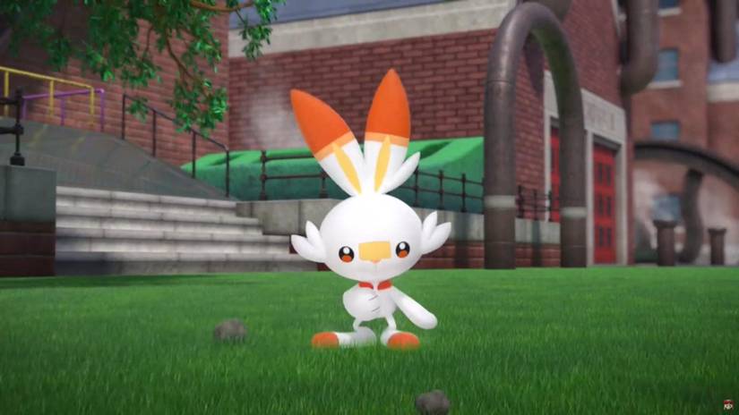 scorbunny