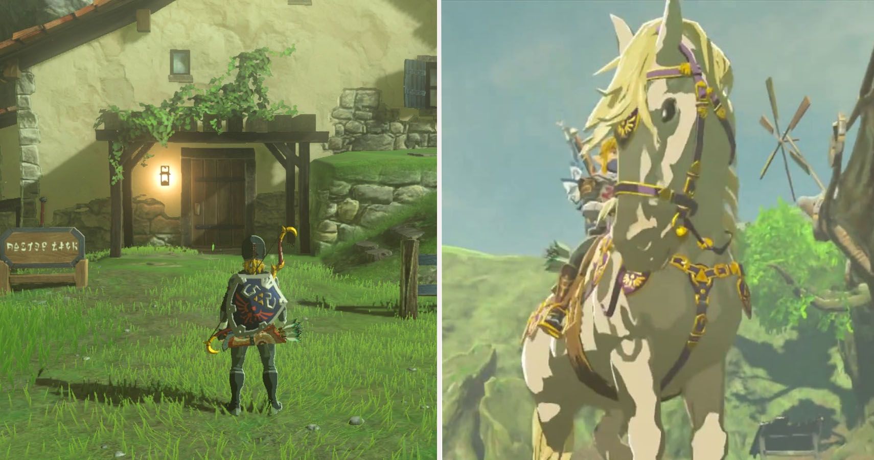 Sesami Botw