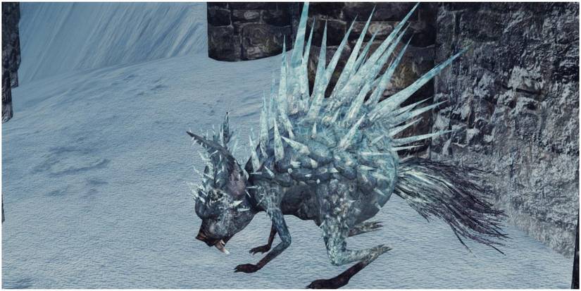 Dark Souls 2 Ice Rat Rampart Hedgehog