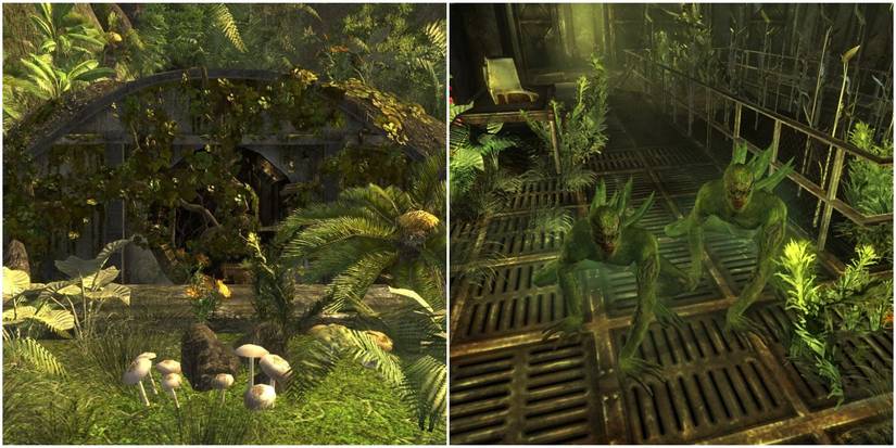 Vault 22 And Spore Carriers in Fallout New Vegas