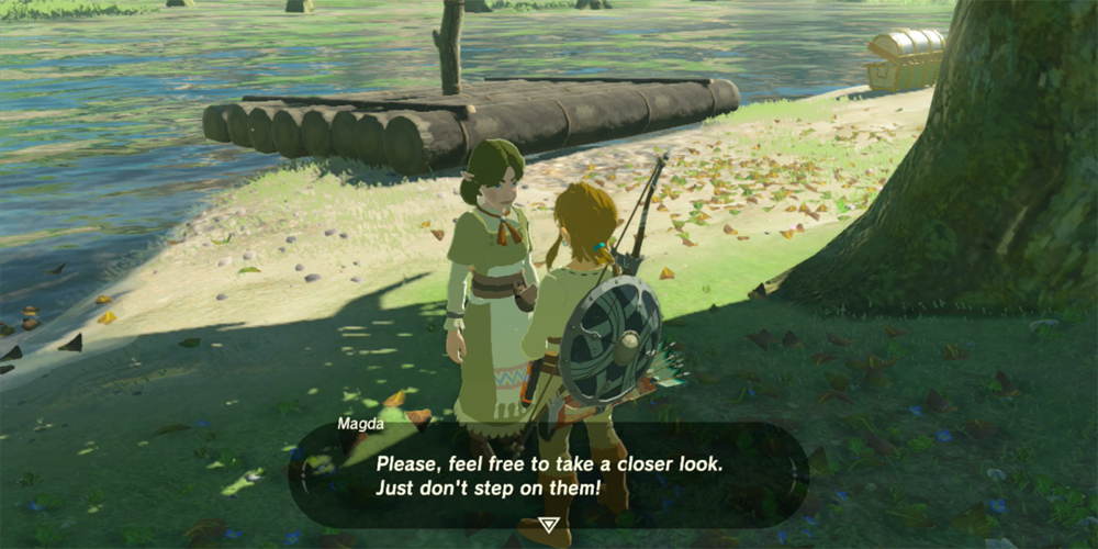 The Legend of Zelda: Breath of the Wild Link speaking to Magda 