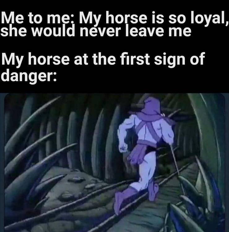 10 Hilarious Red Dead Redemption 2 Memes Only True Fans Understand