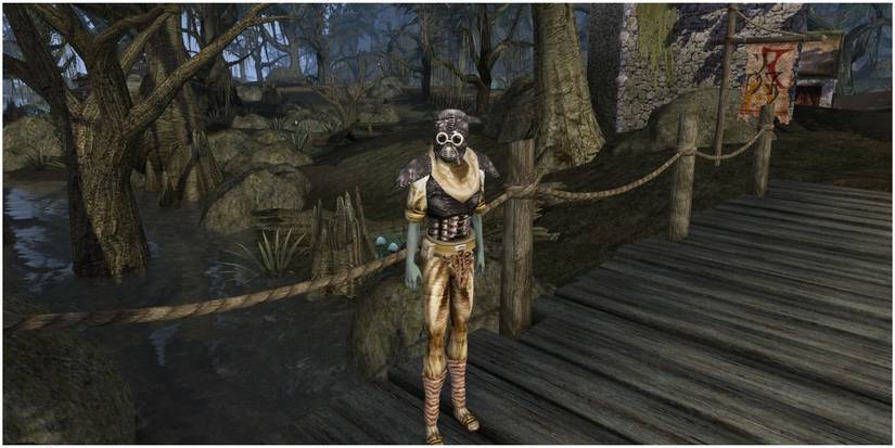 The Elder Scrolls Morrowind Dunmer in Boiled Netch Leather