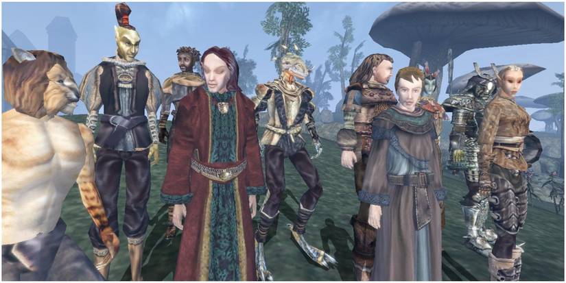 The Elder Scrolls Morrowind Various Characters and Races