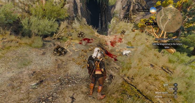 The Witcher 3 Killer Rabbit