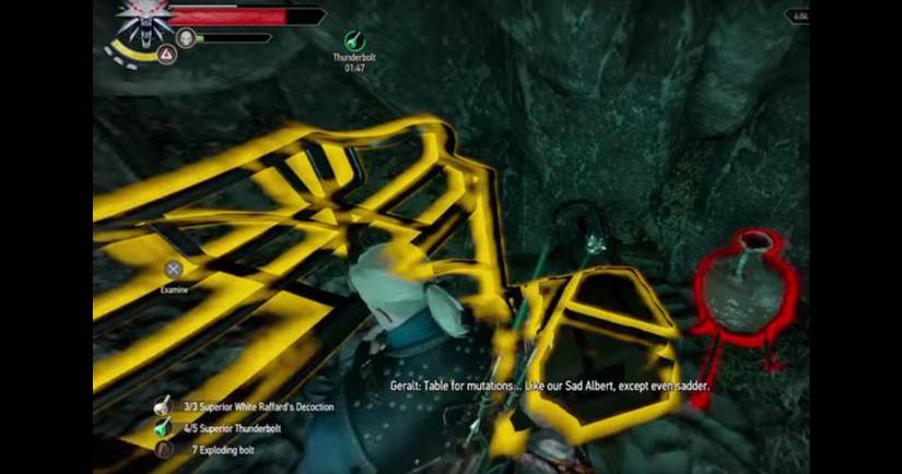 The Witcher 3 Trial Of Grasses