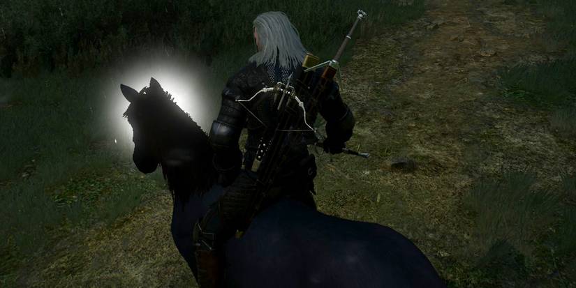 WItcher 3 Axii Horse
