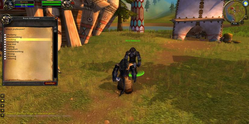 WOW Classic First Aid Profession