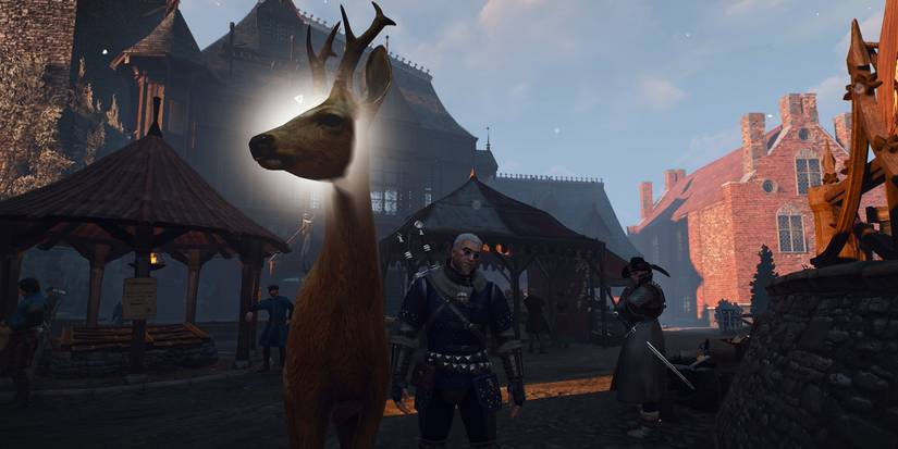 Witcher 3 Axii Animals
