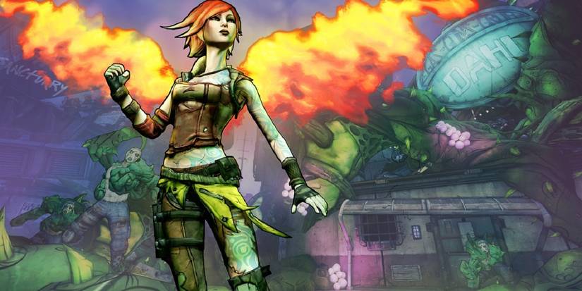 what happened in borderlands 2?