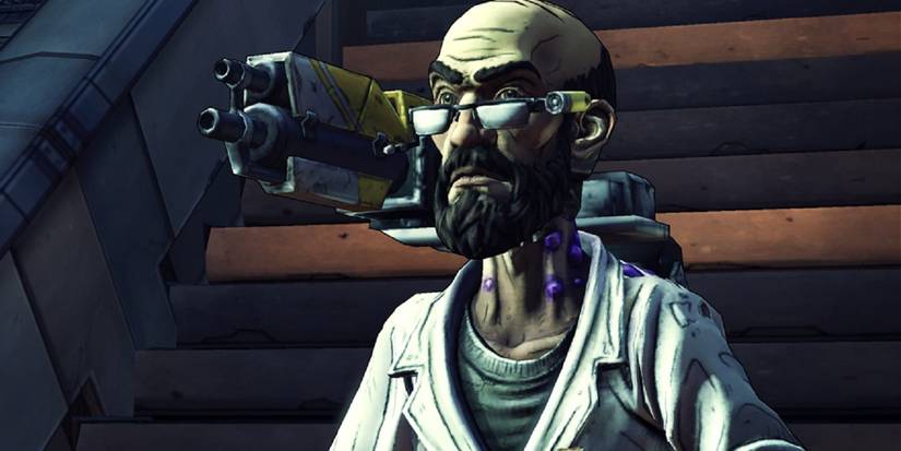 what happened in borderlands 2?