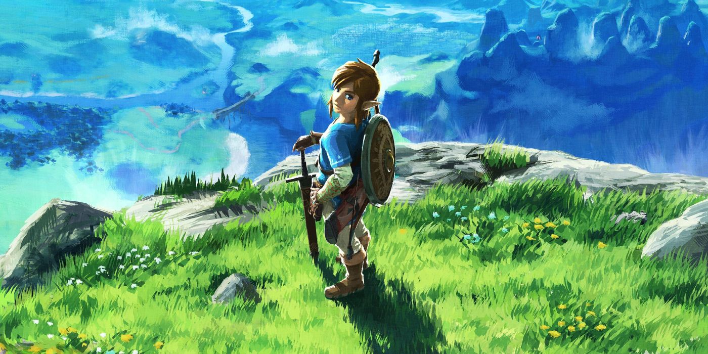 Breath of the wild Link standing over a cliff 