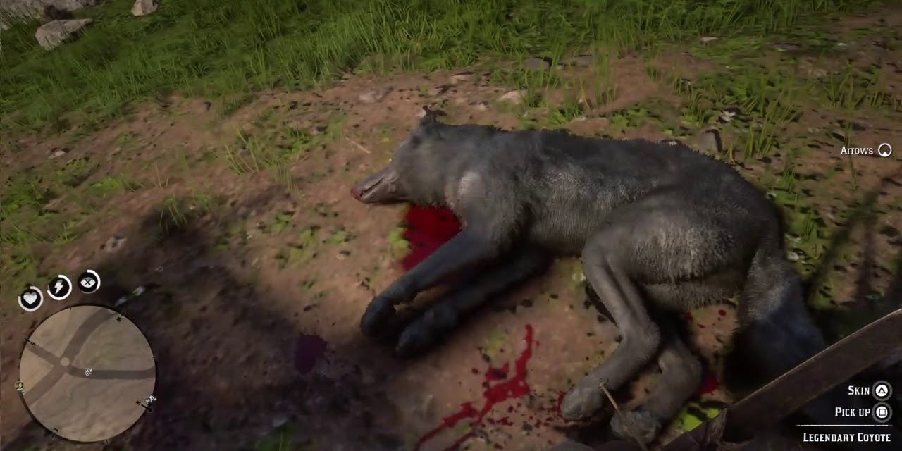 RDR2 Legendary Coyote