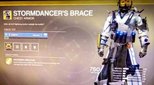 destiny 2 stormdancers brace leak