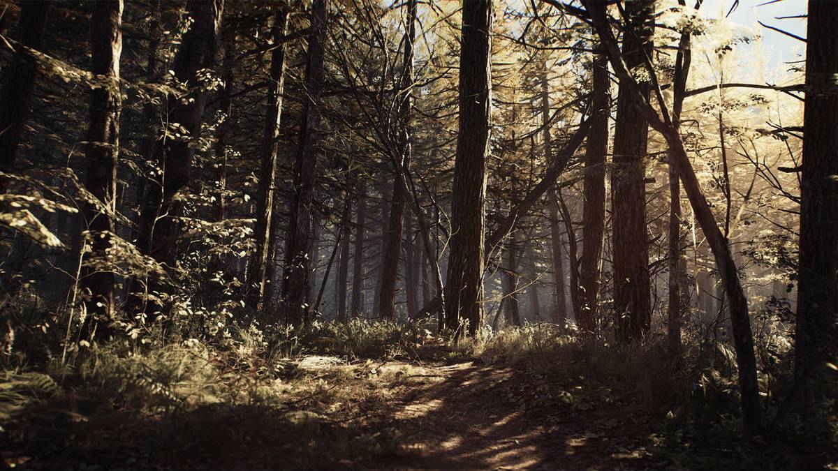 new blair witch trailer tour woods