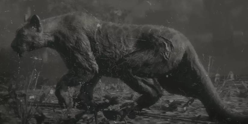 Panther Red Dead Online