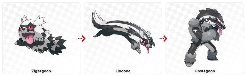 pokemon obstagoon evolution tree