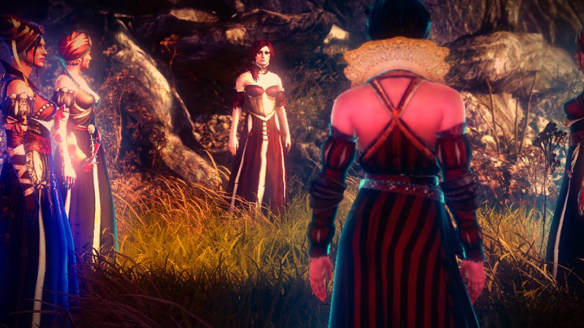 The Lodge of Sorceresses in The Witcher 2