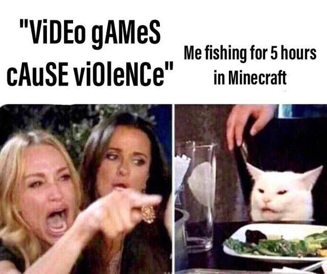 minecraft video game meme