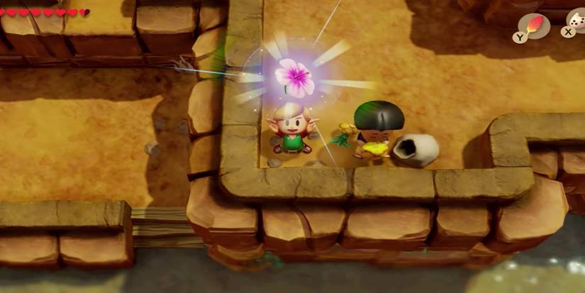 The Legend of Zelda: Link's Awakening