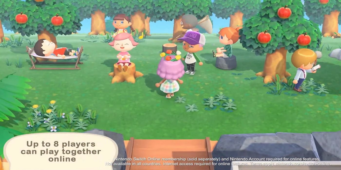 animal crossing new horizons 8 player co op