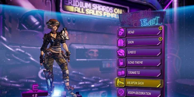 Borderlands 3 crazy earl's shop customization