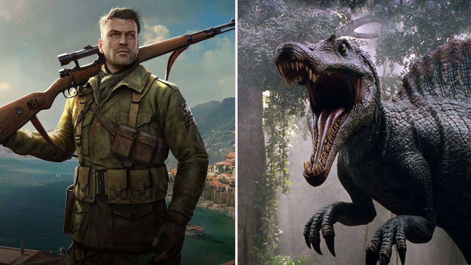 Canceled PC games feature