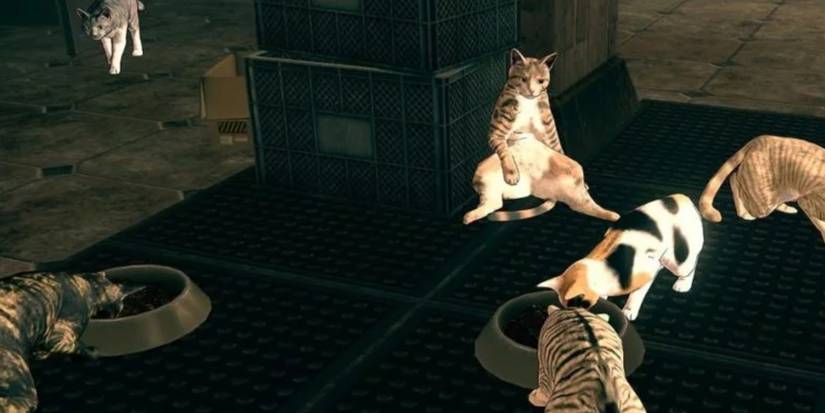 Cats in Astral Chain