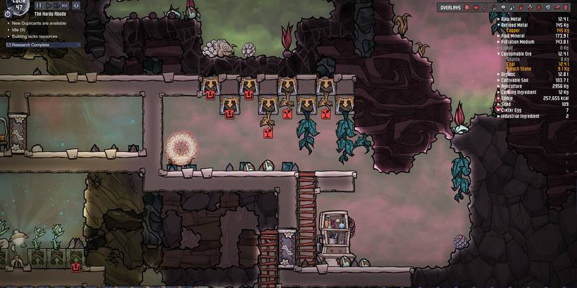 ONI Pincha Pepper Farm