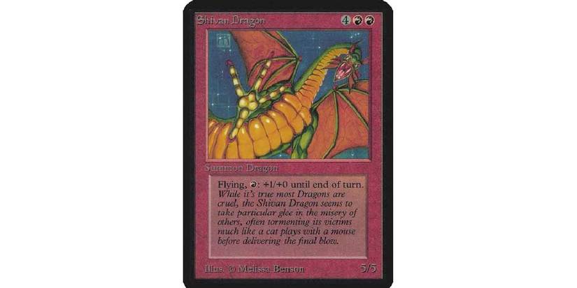 Rarest Magic: The Gathering Cards & Their Prices