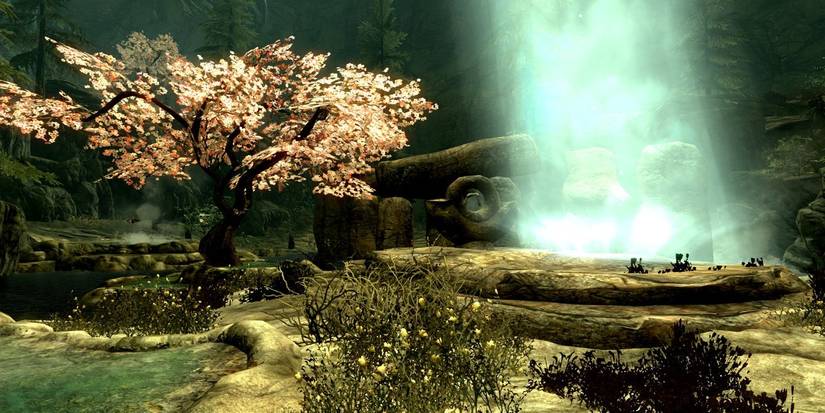Ancestor Glade in Skyrim