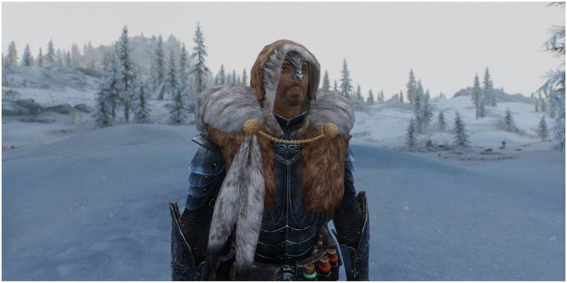 Skyrim Winter is Coming