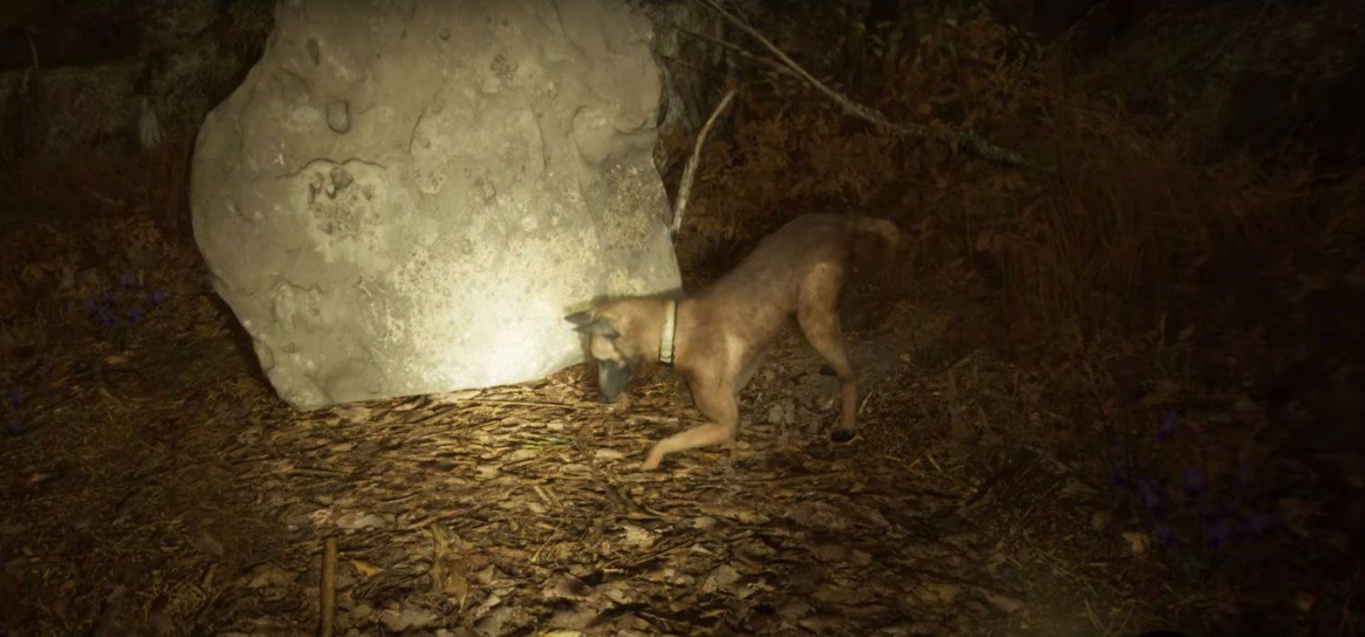 Blair Witch How to Get All Endings