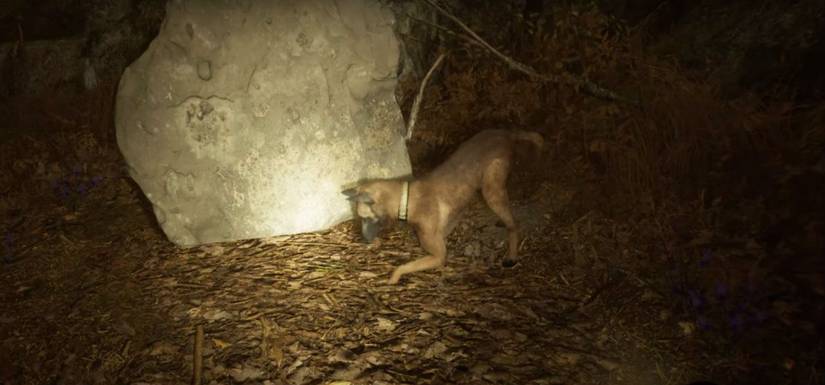 blair witch dog bullet