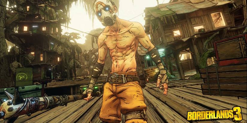 borderlands 3 pc save data lost