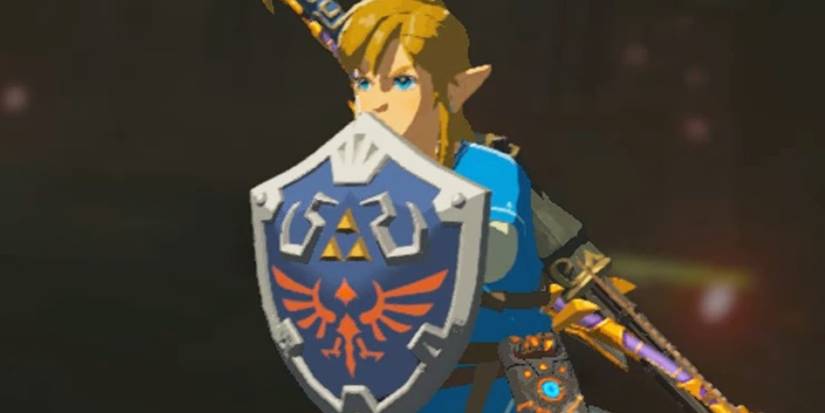 Link blocking with a Hylian shield in Breath of the Wild